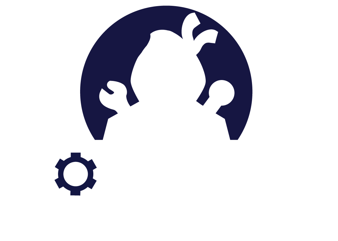 Torque Ninjas Logo